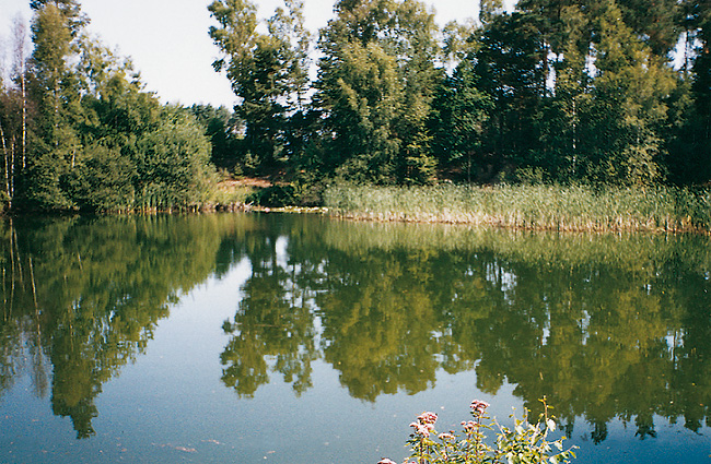 Beautiful surroundings around Hotel & Restaurant Fricke