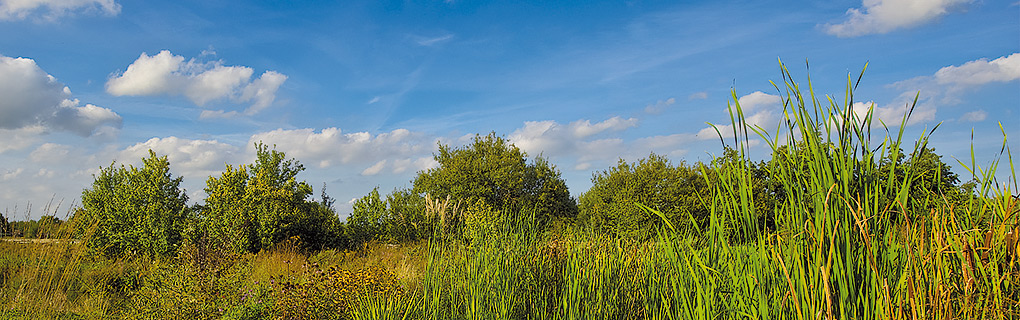 Surroundings of the Hotel & Restaurant Fricke